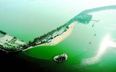 长江港航物流联盟绿色航运专委会在江阴成立
