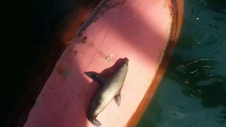 上一图集