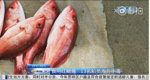 在越南食用红鲷鱼 13名船员中毒返厦医治