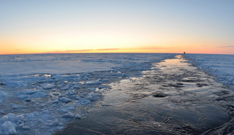 Container Shipping in the Arctic: Why (Not) Now?