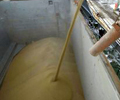 Is China buying US soy? Washington shutdown keeps traders guessing