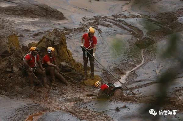 淡水河谷溃堤，致多支航运股票暴跌！