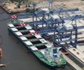 China thermal coal imports to fall 10 million-12 million tonnes in 2019: Noble’s Echeverri