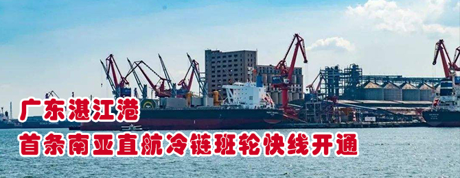 广东湛江港首条南亚直航冷链班轮快线开通