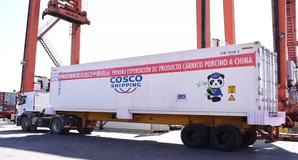 中远海运集运阿根廷公司承运首批阿根廷输华猪肉冻柜业务