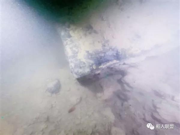 微信图片_20190904113001.jpg
