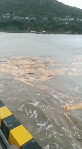 重大突发丨超强台风导致两船在宁波海域遇险其中一艘沉没,大量集装箱落水!