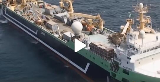 世界最大渔船造价高4亿元 却遭人类抵制