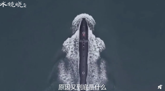 鲸鱼能潜入几千米深海，为何核潜艇却远远不如？原因到底是什么