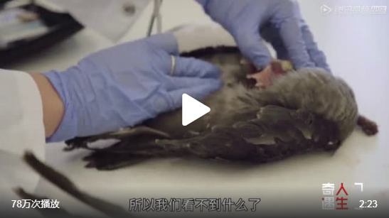 微信截图_20191204152801.png