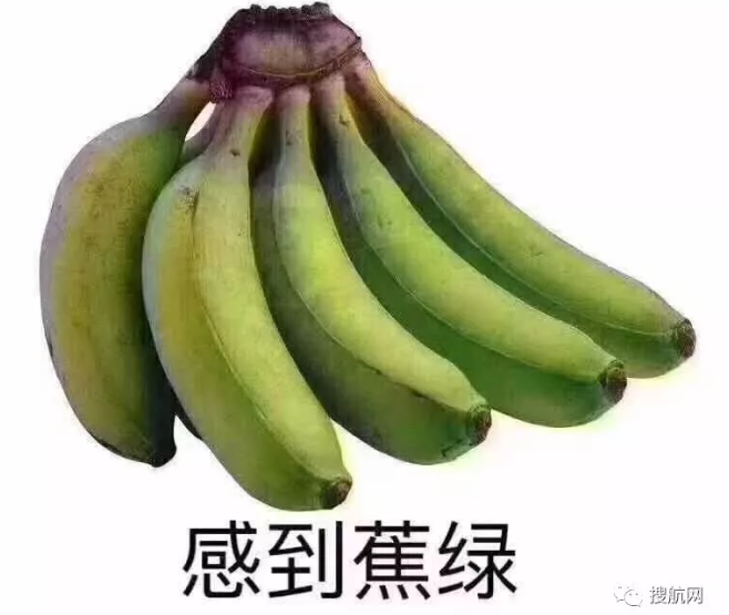 台风来了!旺季拿到舱位不易,这两天赶紧提柜装货,码头随时有可能停摆!