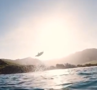 海豚跃出水面唯美一瞬！