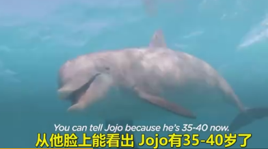 这画面太有爱了~