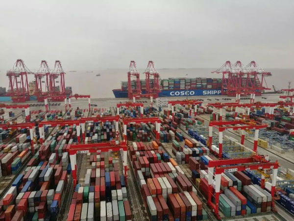洋山港四期自动化码头：5台桥吊到港 装卸能力提升约25%