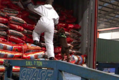英国费利克斯托港一集装箱船查获1吨毒品，黑市价值超1.2亿英镑