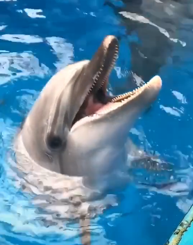 QQ截图20201013170659.png