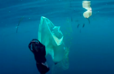 航运组织：2021年底前，禁止一次性塑料
