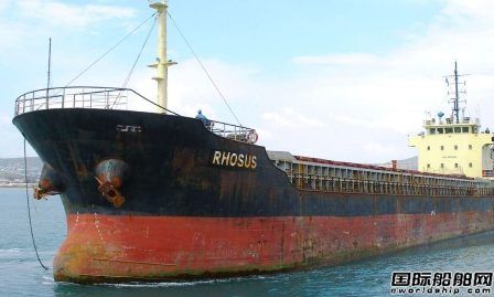 红色通缉令！“Rhosus”号船长和船东遭国际刑警组织通缉