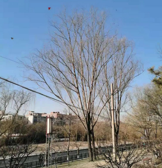 QQ截图20210119101331.png