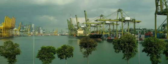3660万TEU，新加坡港2020全年集装箱吞吐量同比减少0.9％