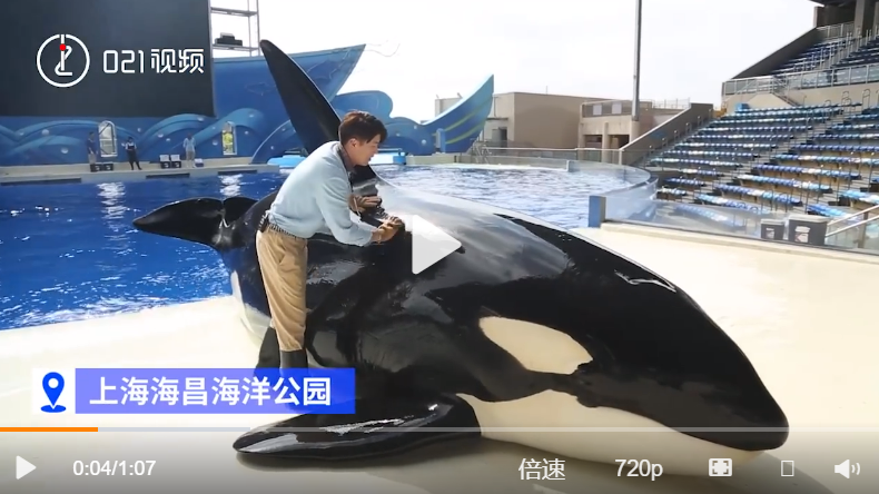海洋动物下澡堂子搓澡