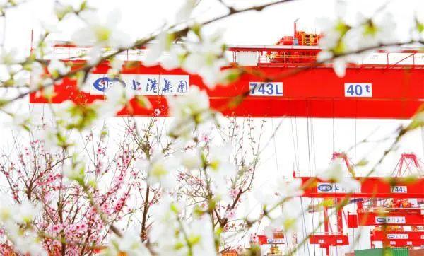 上海港：24小时正常作业，集装箱吞吐量保持14万标准箱高位水平