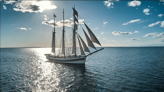 回归帆船时代！这家航运公司购买113岁帆船用于跨洋运输