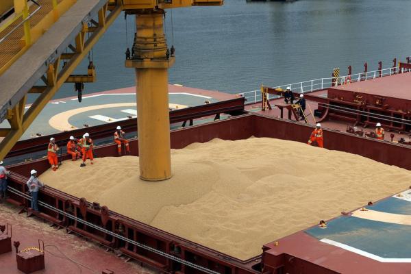 300万吨大豆延误至少15天！美国航运困境“挤压”中国大豆库存