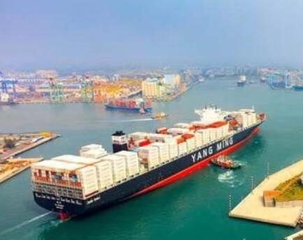 阳明海运去年利润408亿元再创新高2月业绩同比大减