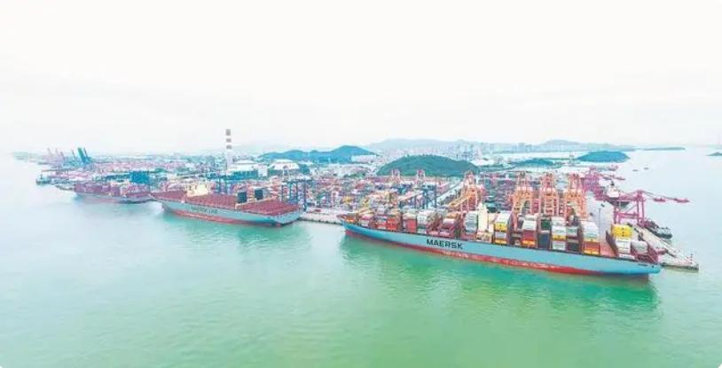超大型集装箱船舶“组团”靠泊厦门港