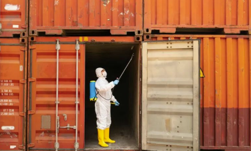 新版UCIRC发布，旨在解决集装箱内外虫害污染问题