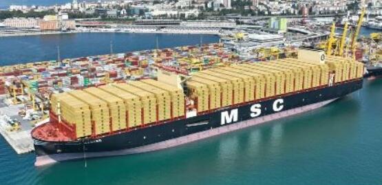 江南造船建造！地中海航运为全球最大集装箱船命名