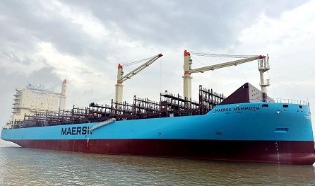 新扬子造船交付LEPTA第五艘3500TEU集装箱船