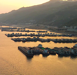 韩华海洋停止集装箱船接单