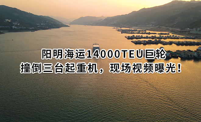 ​阳明海运14000TEU巨轮撞倒三台起重机，现场视频曝光！