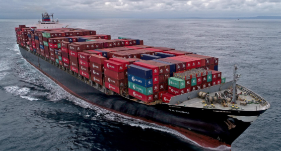 屏幕快照 2024-05-15 上午9.31.59.png