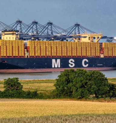 MSC率先推出1万美元保舱运价！