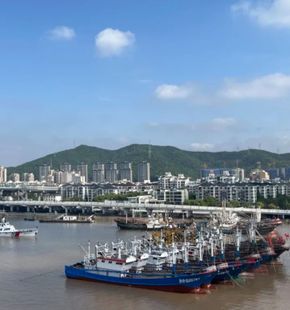 东海今日已部分开渔！请做好这些防碰撞措施