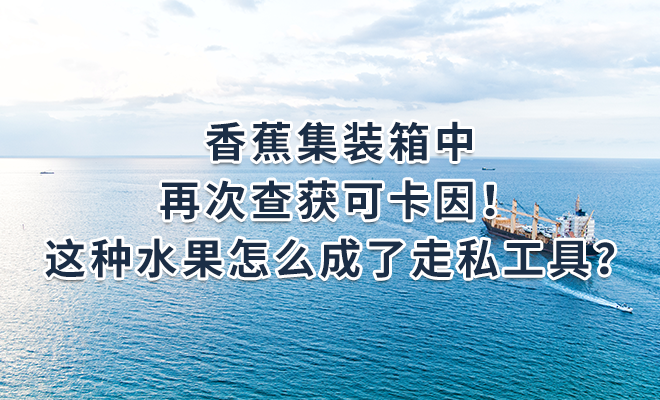 香蕉集装箱中再次查获可卡因！这种水果怎么成了走私工具？