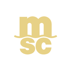 大动作！MSC公布2027年船队更新计划