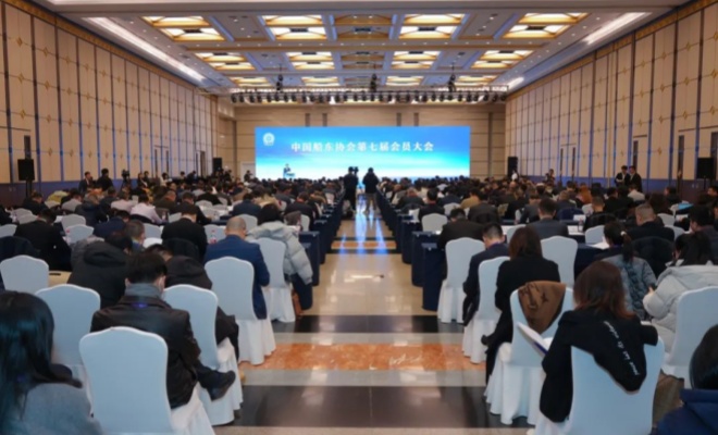 中国船东协会选举产生新一届领导班子