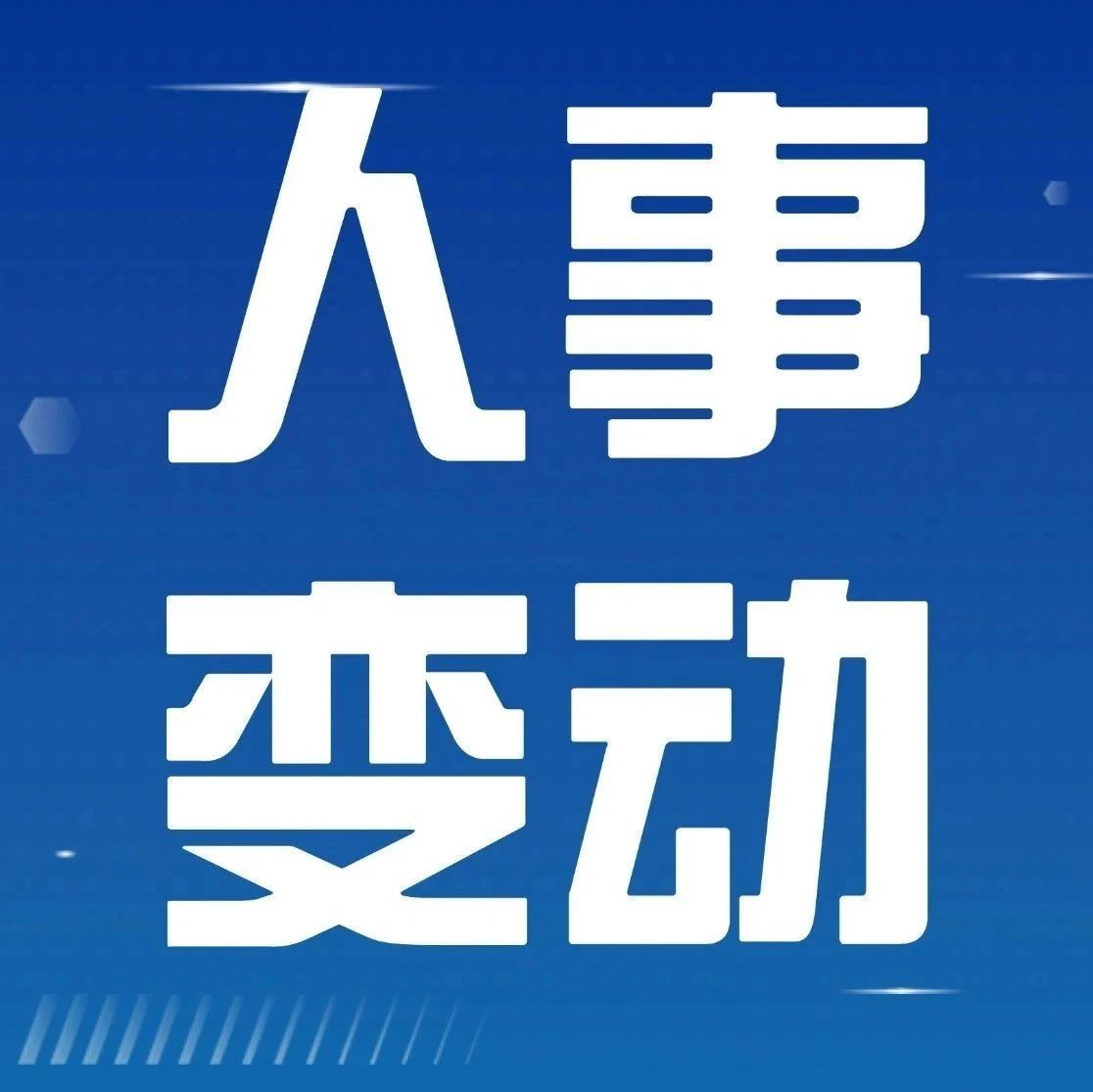 广州港，多个重要人事任命