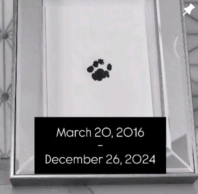 9-7.png