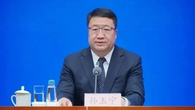 打虎！海关总署原副署长孙玉宁被“双开”