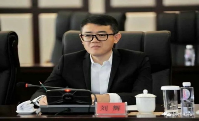 连续9年财务造假！锦州港副董事长、总经理遭多项纪律处分