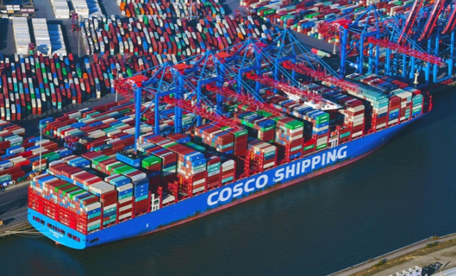 中远海运、赫伯罗特货运增速领跑全球！阳明海运大跌