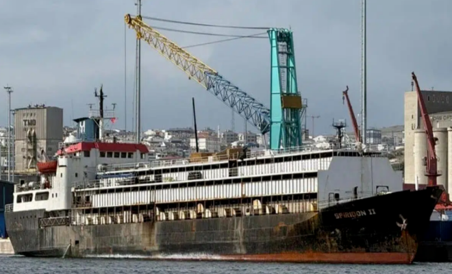 因货证不符遭土耳其拒入港！2900头牛命悬一线！