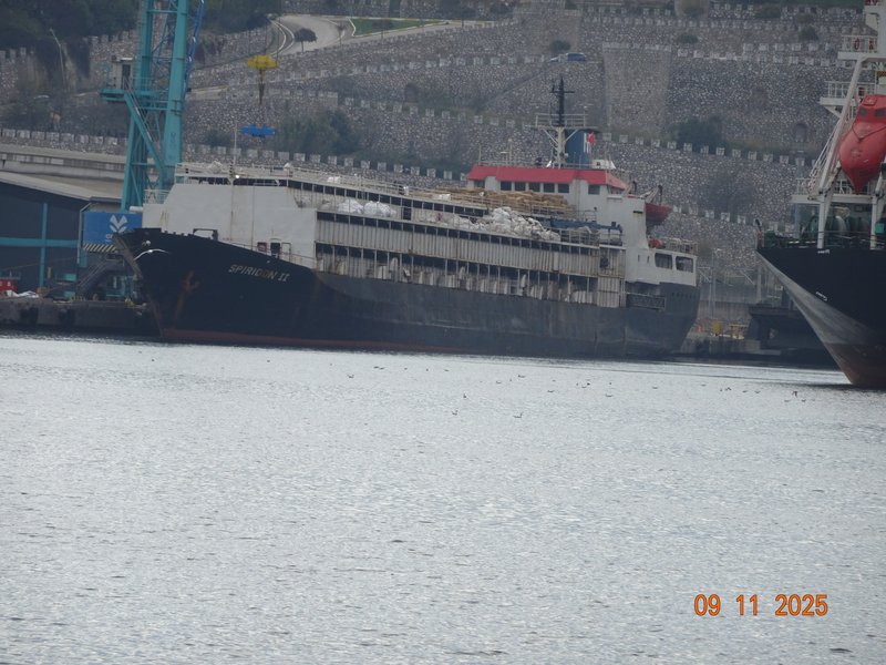 2900头牛被禁止入港后，58头死亡、90头失踪！