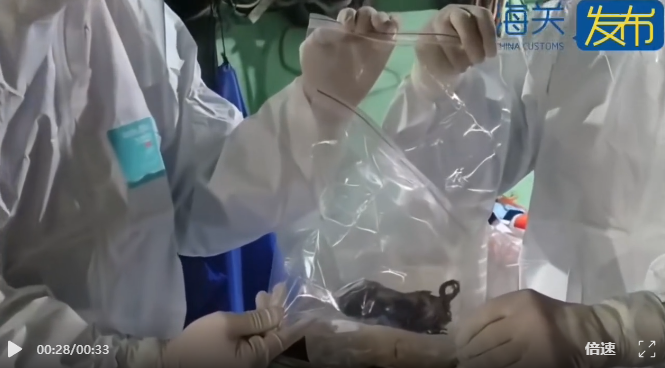 屏幕截图 2025-12-30 100048.png