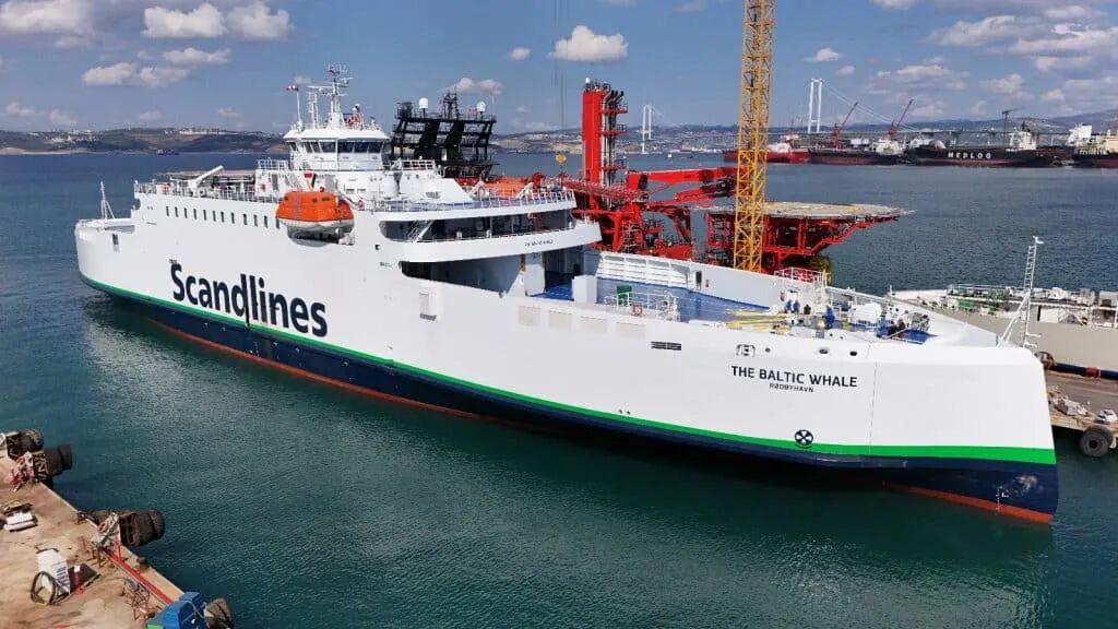 微信图片_2026-01-20_183142_546.jpg 微信图片_2026-01-20_183142_546.jpg